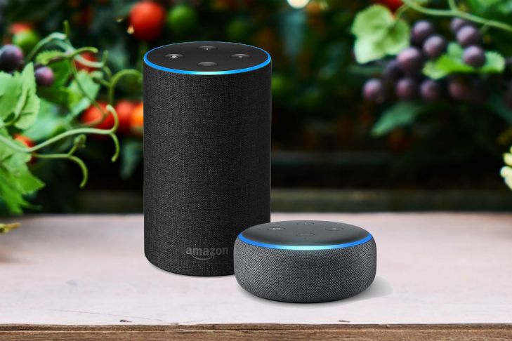 Alexa поможет слепым и слабовидящим людям