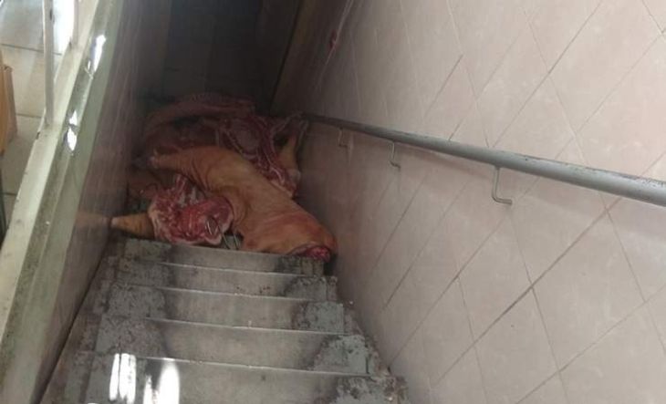 В магазине в Гомеле свиные туши валялись прямо на полу. Руководство в шоке