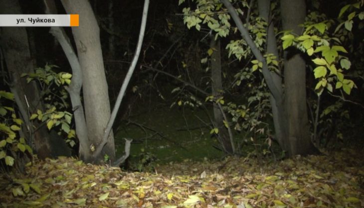 «Забрали сотовый и сумочку с вещами»: жертва группового изнасилования просит злоумышленников вернуть ей покупки