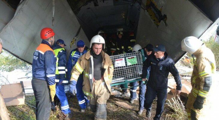 Авиакатастрофа в Украине: поисковая операция завершена, данные о жертвах окончательные