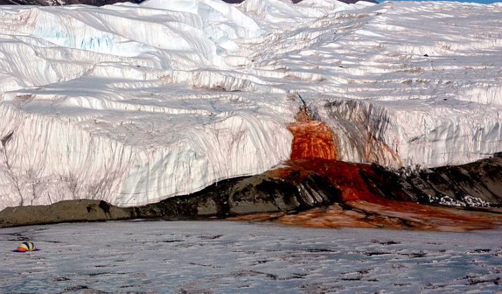 Ученые разгадали загадку «кровавых водопадов» в Антарктике