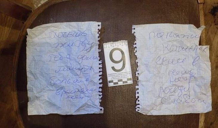 Осудили убийцу, который писал угрожающие записки пенсионерке из Быховского района 