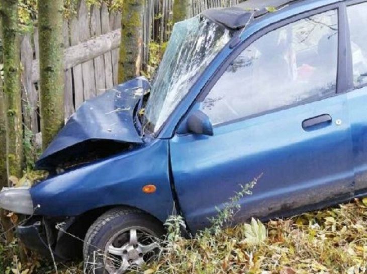 ДТП в Смолевичском районе: пенсионер протаранил дерево