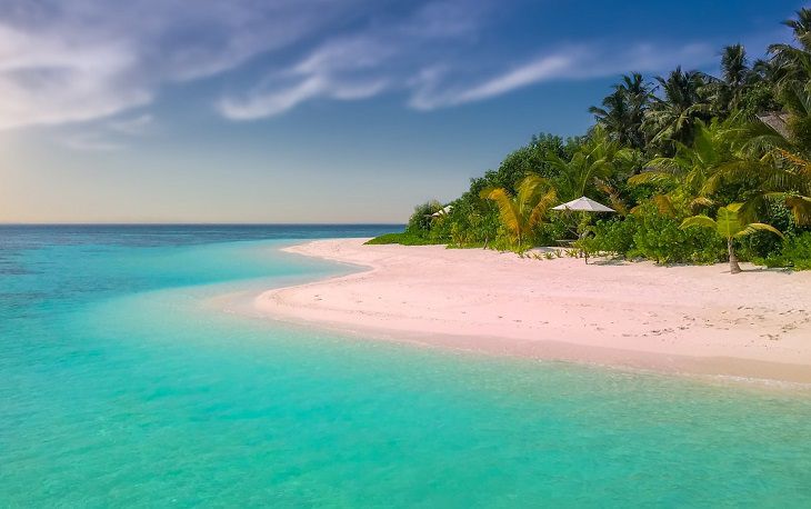 Уже 20 заявлений, но потерпевших гораздо больше. На директора турфирмы «Два Солнца» завели уголовное дело