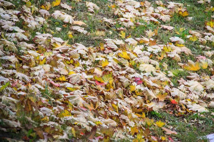 Погода на день 9 октября по Беларуси Погода на день 9 октября по Беларуси