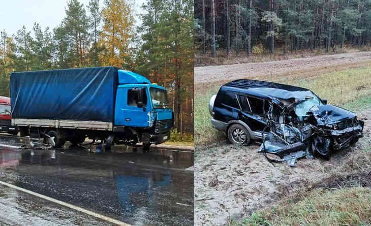 Под Светлогорском водитель внедорожника выехал на «встречку», столкнулся с МАЗом — и убежал в лес