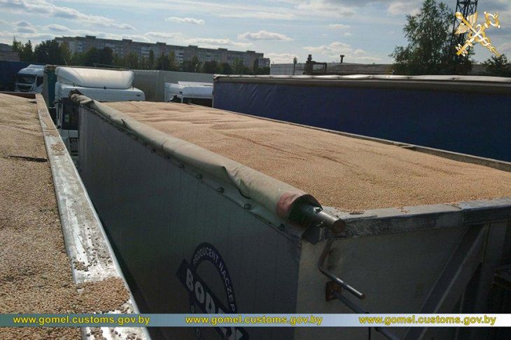 В Беларусь прорывались с десятками тонн нелегальных арбузов и пшеницы 