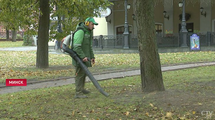 В Минске убирают опавшие листья спецкомбайнами. Вот как это выглядит 