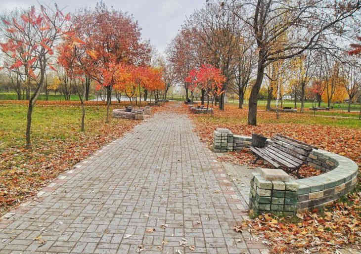 Погода на 14 октября 2019 года: что ожидает белорусов Погода на 14 октября 2019 года: что ожидает белорусов