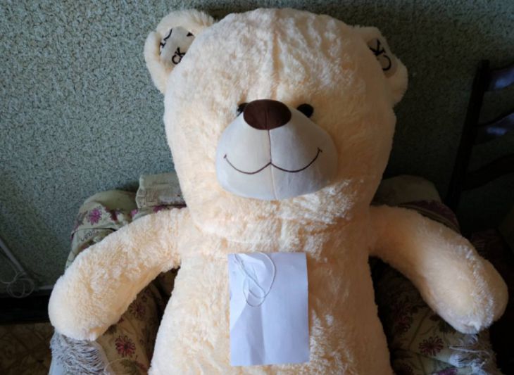 В Жлобине парню грозит 4 года тюрьмы за кражу плюшевых медведей