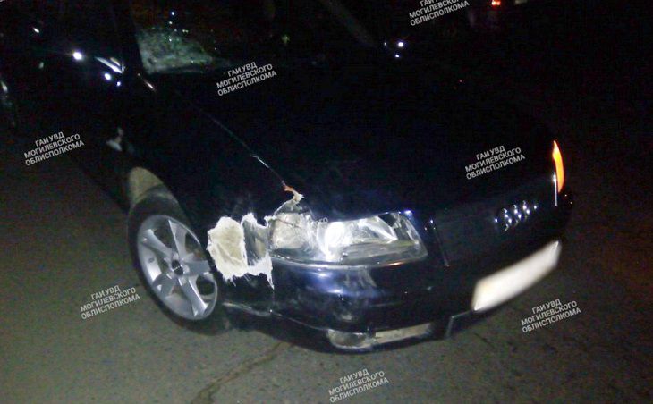  В Кричеве Audi задавила двух человек на одном велосипеде. Они погибли   