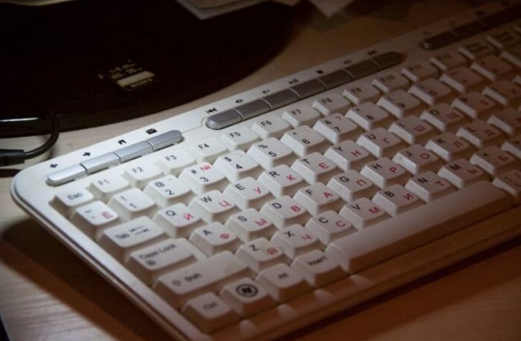 Какая область самая продвинутая? Где чаще участвуют в интернет-переписи