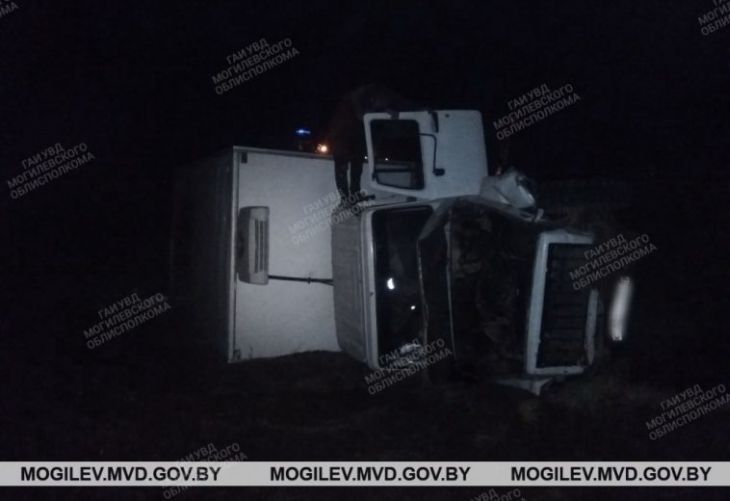 В Быховском районе грузовик насмерть сбил извозчика