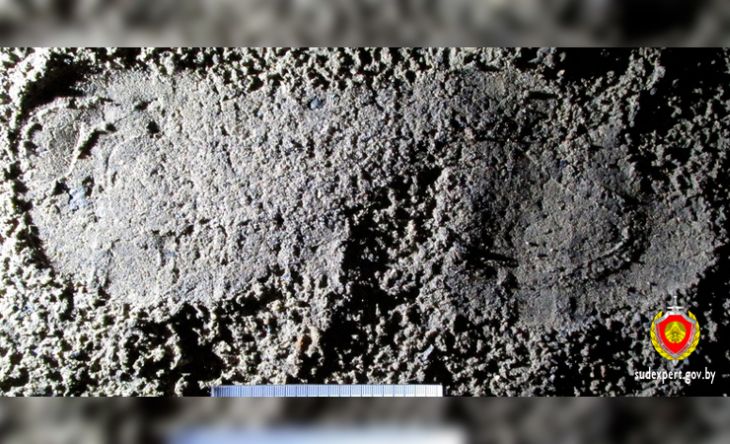 В Жлобине вора, укравшего мобильник, нашли по следу ботинка