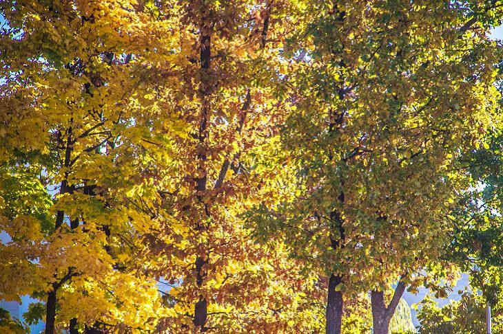 Погода на пятницу 18 октября в Беларуси Погода на пятницу 18 октября в Беларуси