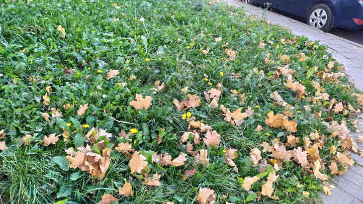 «Конец света близок». В соцсетях комментируют аномалию в Минске 