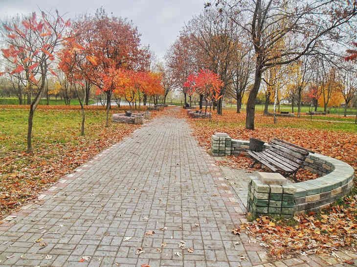 Погода на 22 октября по Беларуси: будет тепло