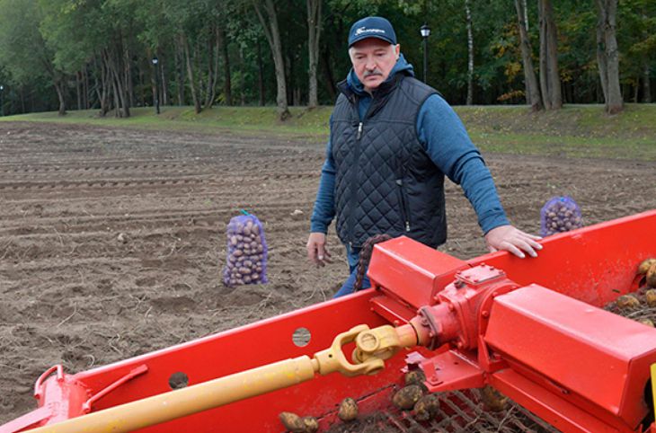 Лукашенко рассказал, почему ест картошку раз в неделю