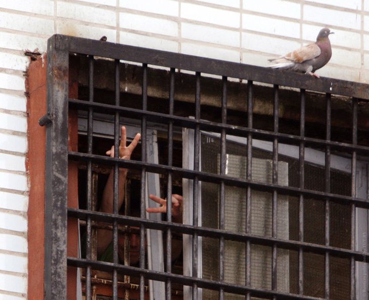 Житель Минска жаловался на условия содержания в милиции — и прокуратура признала нарушения Житель Минска жаловался на условия содержания в милиции — и прокуратура признала нарушения