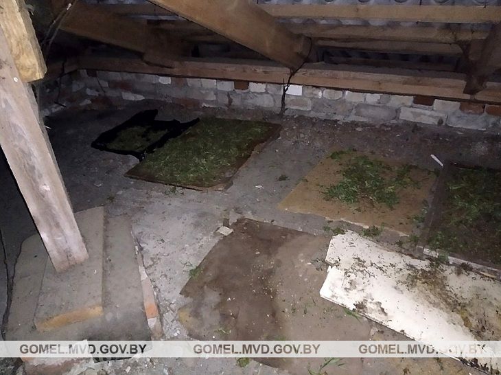 В Кормянском районе парень хранил на чердаке крупную партию наркотиков