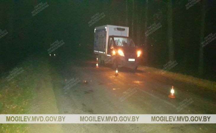 В Кировском районе под колёса «ГАЗели» попала женщина-пешеход, которая 18 раз нарушала ПДД