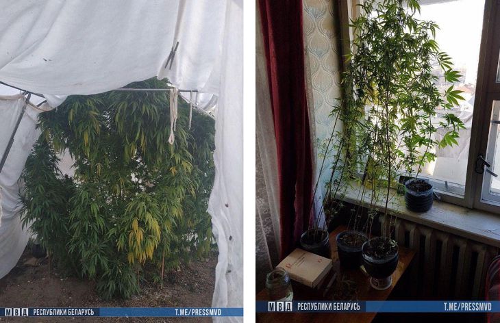 Милиция Минска накрыла две нарколаборатории