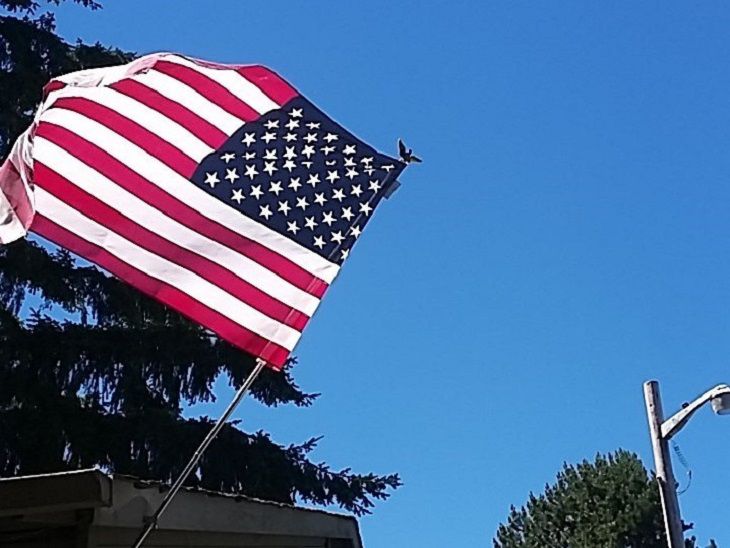 «Все время я тратила на то, чтобы просто выжить». Как переезд в Америку разрушил иллюзии белоруски «Все время я тратила на то, чтобы просто выжить». Как переезд в Америку разрушил иллюзии белоруски