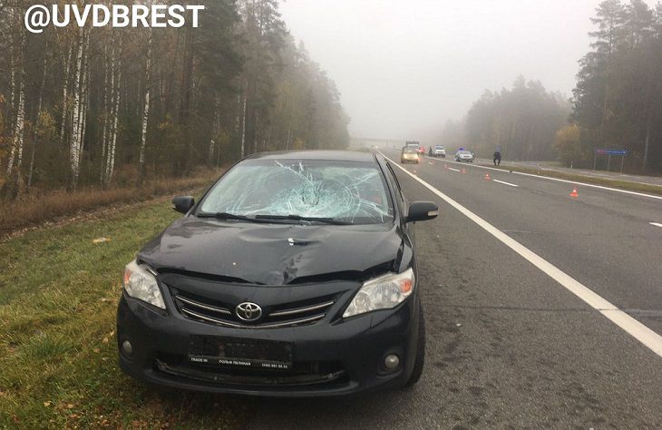 Смертельная авария на трассе М1 под Барановичами: пострадавшая умерла в машине скорой
