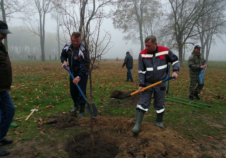 Посмотрите, как чиновники в Бресте во время субботника деревья сажали