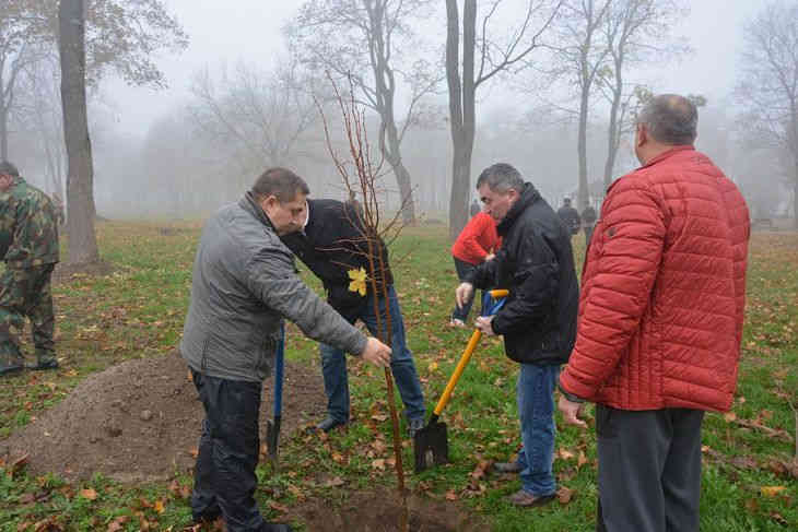 Посмотрите, как чиновники в Бресте во время субботника деревья сажали