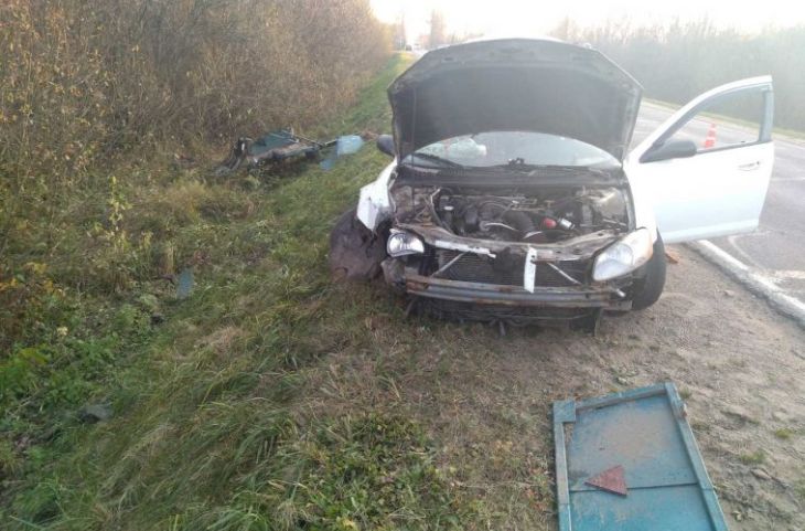 В Браславском районе Dodge врезался в мотоблок, его водитель погиб