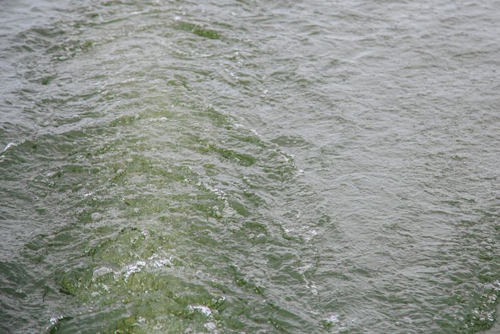 Троих мужчин спасли из воды в Крупском районе Троих мужчин спасли из воды в Крупском районе