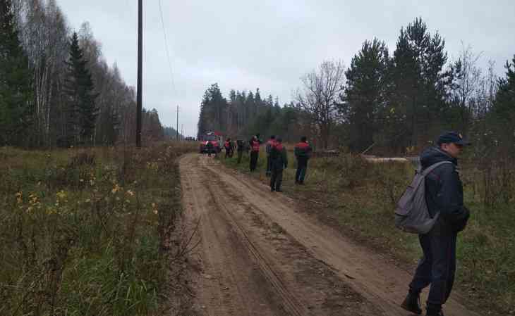 В Могилевской области пятые сутки ищут двух пропавших грибников. Еще четверых нашли