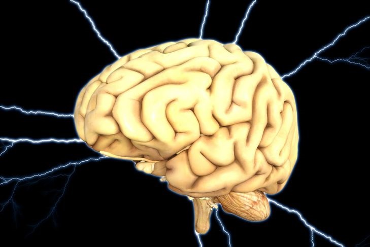 Ученые выяснили, какой продукт защищает от инсульта