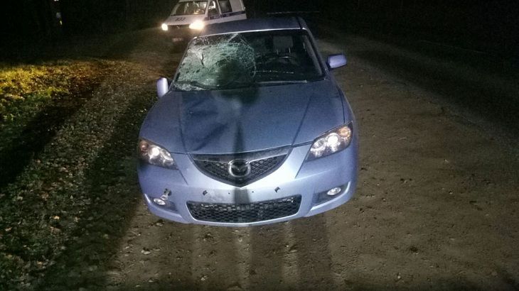 В Минской области за выходные погибли три пешехода. Названа основная причина В Минской области за выходные погибли три пешехода. Названа основная причина