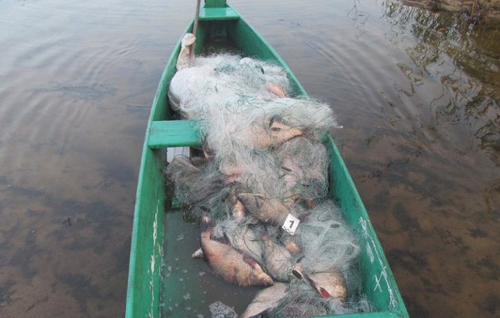 В Пинском районе задержали браконьеров: грозит до 3 лет тюрьмы