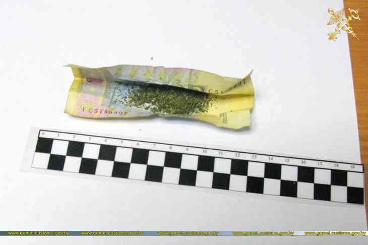 От «травки» до героина. Более 5,3 кг наркотиков хотели ввезти в Беларусь