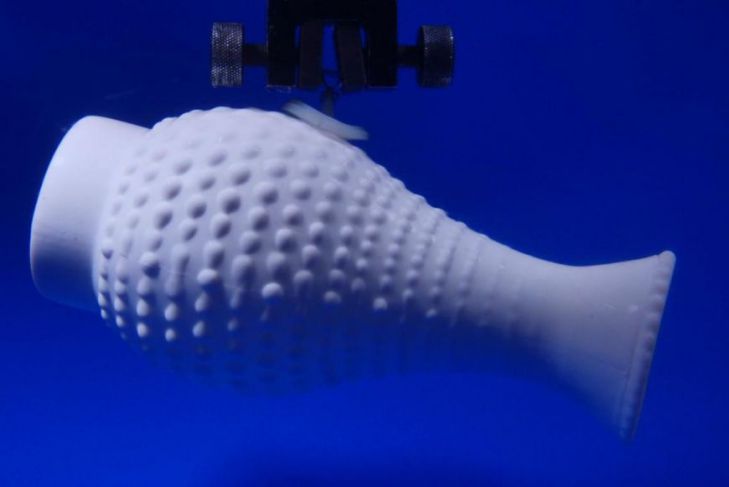 Ученые скопировали способности рыбы-прилипалы для создания устройства