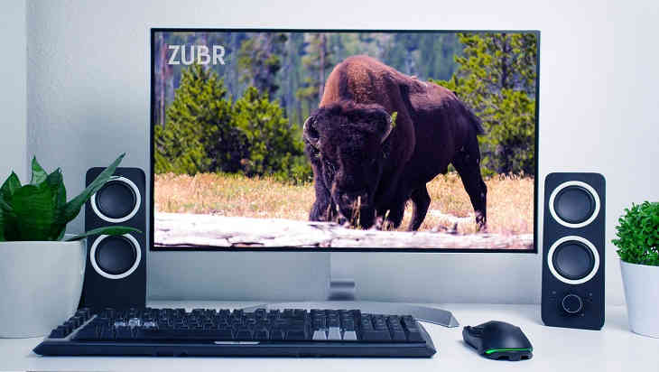 ZUBR и VOLAT — белорусские «богатыри» компьютерного рынка ZUBR и VOLAT — белорусские «богатыри» компьютерного рынка