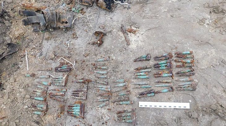 Все в костях и патронах. Под Брестом сельчанин поработал на своем участке 