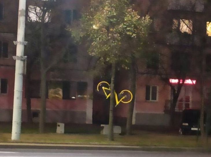 В Бресте велосипед «Колобайк» повесили на дерево В Бресте велосипед «Колобайк» повесили на дерево