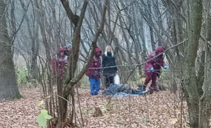 Могилевчане нашли в лесу пенсионера с инсультом. Мужчина умер в больнице