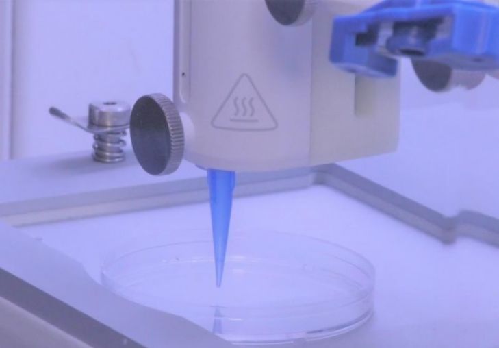 Ученые впервые напечатали кожу с сосудами