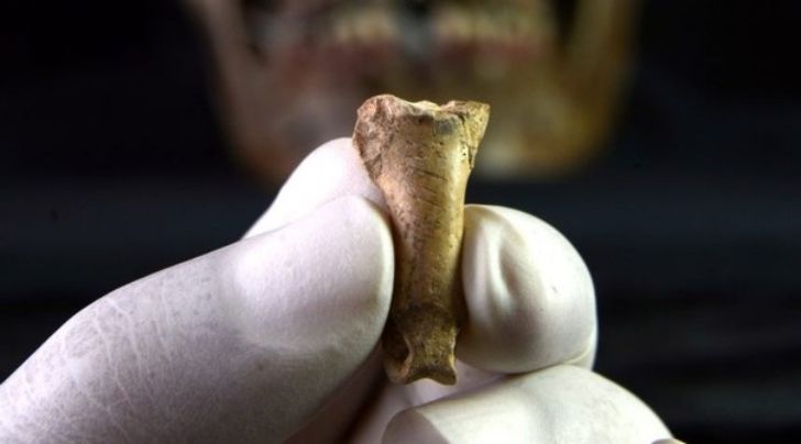 В Испании обнаружили ожерелье, созданное неандертальцами