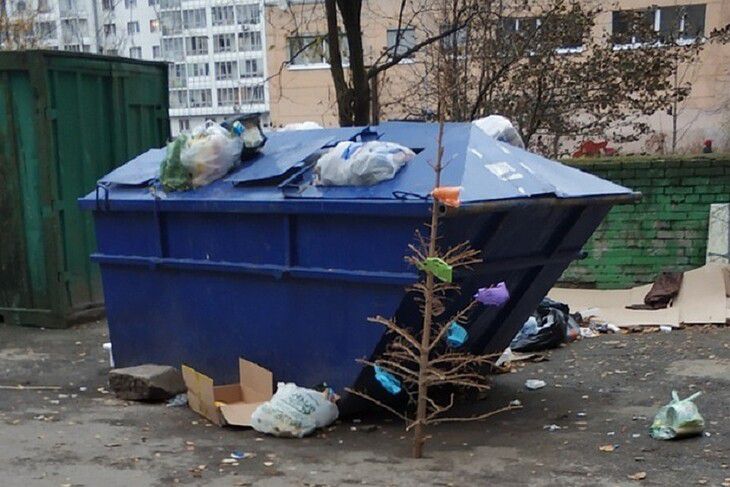 Неожиданно: 5 ноября кто-то все же решил выкинуть новогоднюю елку Неожиданно: 5 ноября кто-то все же решил выкинуть новогоднюю елку