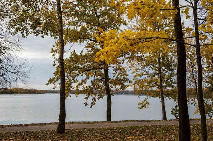 Погода на день 7 ноября по Беларуси Погода на день 7 ноября по Беларуси