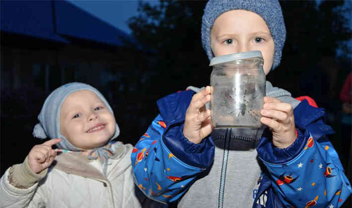 Женщина в деревне Гать нашла в своей кровати тарантула