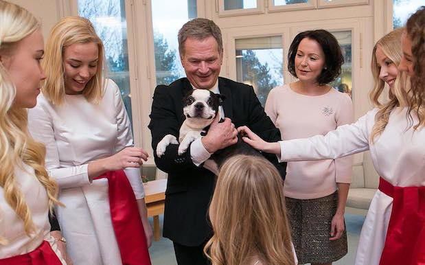 «Улыбающаяся» собака президента Финляндии стала звездой соцсетей