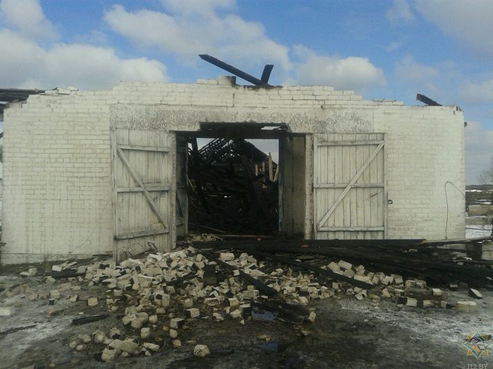 В Лунинецком районе при пожаре на ферме спасено 100 телят‍
