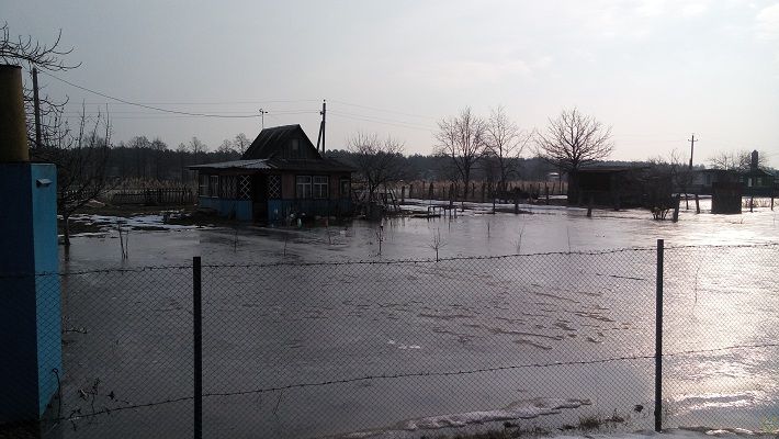 Паводковыми водами подтоплены дороги и 8 подворий в Гомельской области